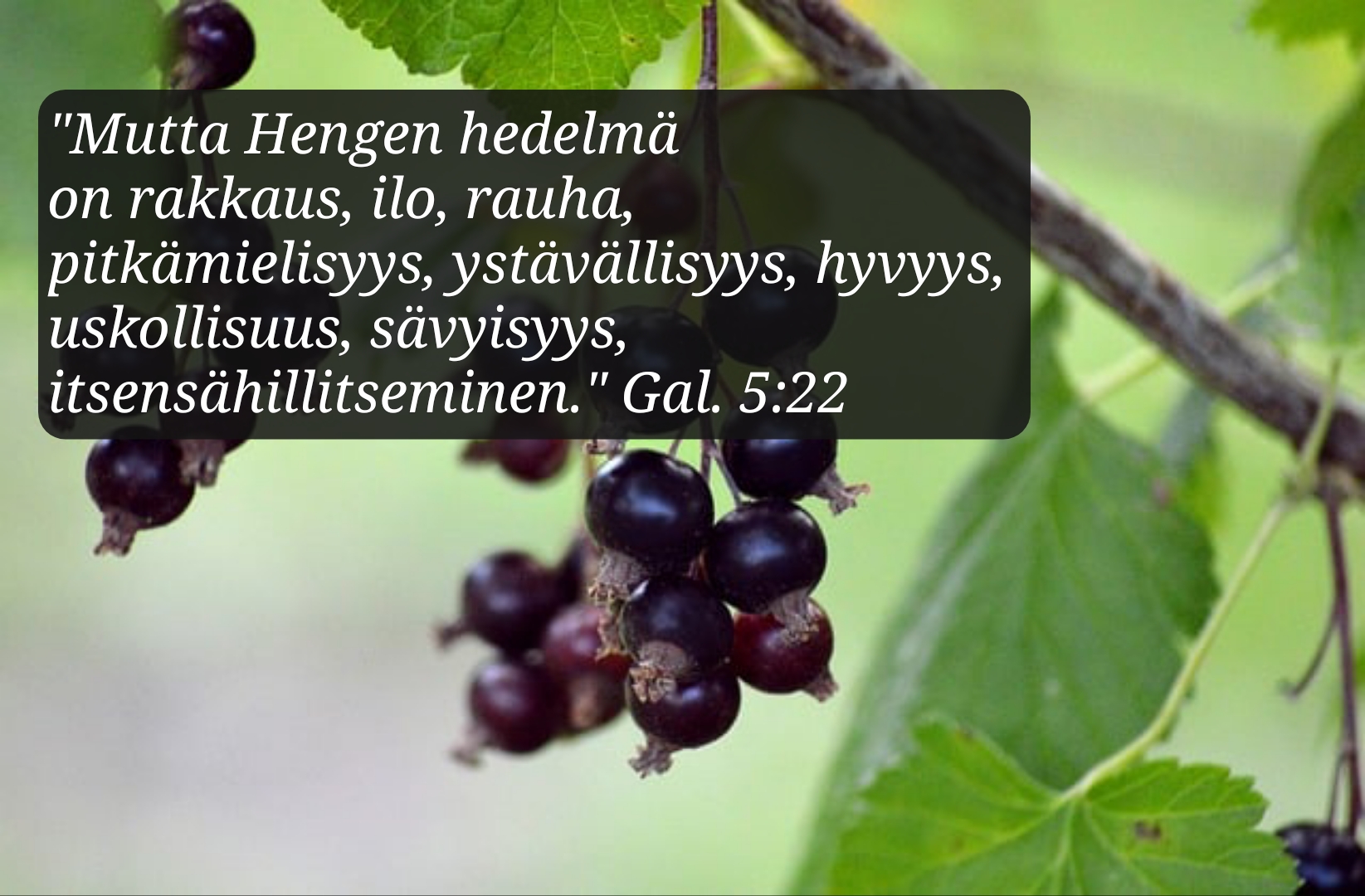 Miten vaeltaa Hengessä?